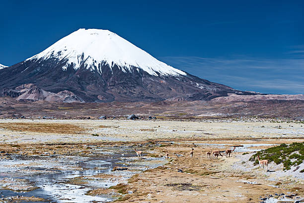 istock Parinacota Volcano in Lauca National Park, Chile 183039364