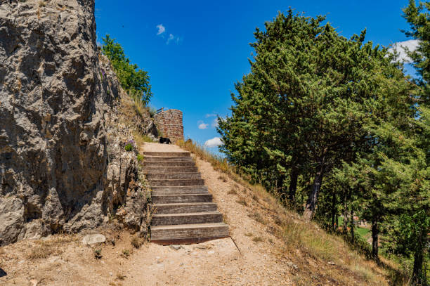 istock wooden stairs 1830402906