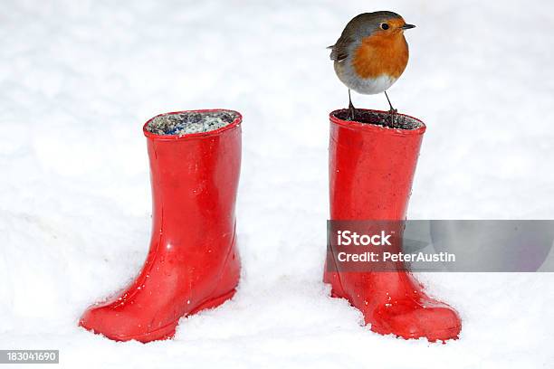 Two Red Boots And A Robin Xxxl Stock Photo - Download Image Now - Robin, Snow, Boot