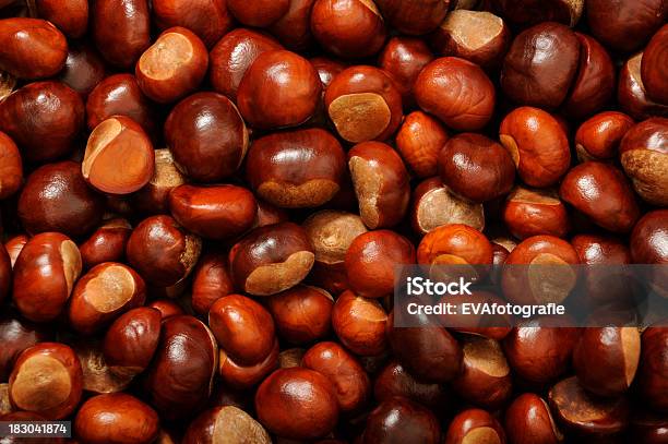 Foto de Muitos Castanha e mais fotos de stock de Castanha - Castanha, Foto de estúdio, Fotografia - Imagem