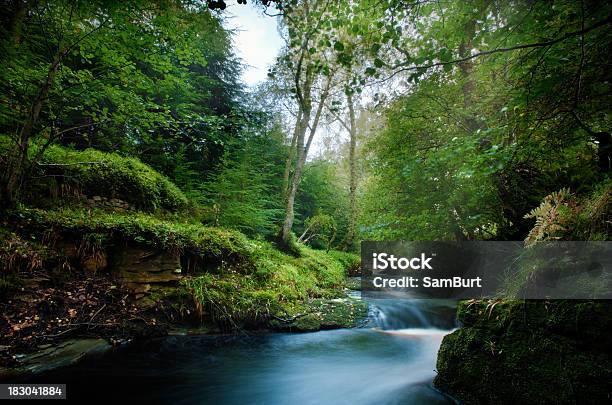 Floresta Mágico Fluxo - Fotografias de stock e mais imagens de Ao Ar Livre - Ao Ar Livre, Beleza natural, Cascata