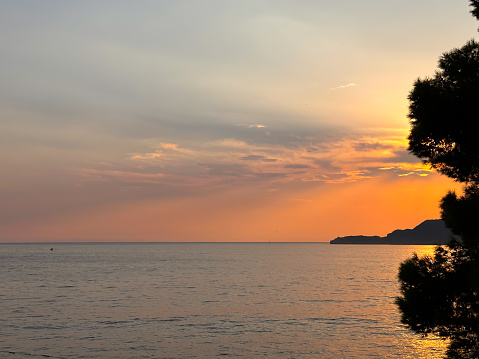 View from a high viewing point on the sea, sunset and mountain. In the foreground part of the crown of coniferous tree is visible. Plenty of free space