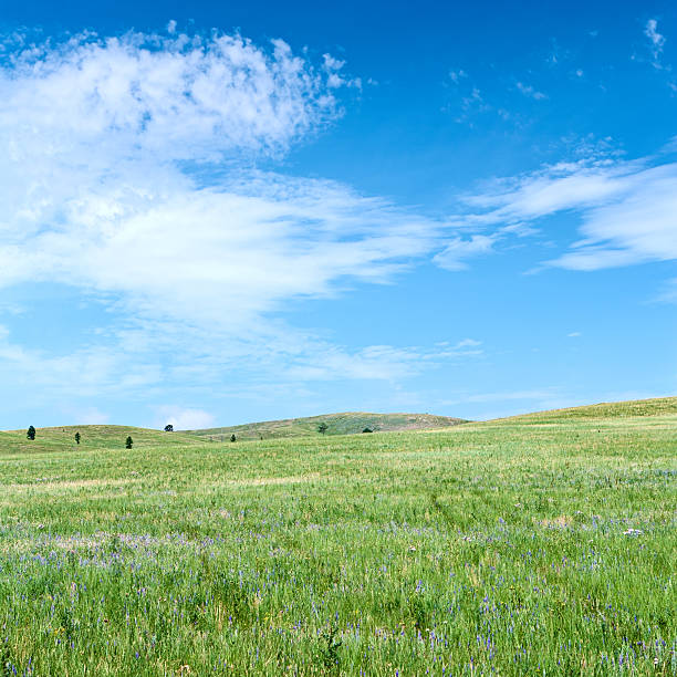 istock Square spring landscape 24MPix XXXL meadow, blue sky, clouds 183041916