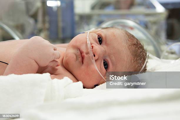 Recémnascido No Hospital - Fotografias de stock e mais imagens de Bebé - Bebé, Incubadora, Recém-nascido