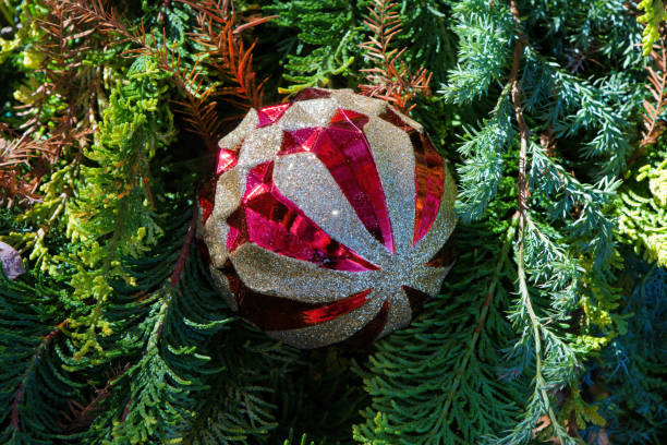 istock Cute ornaments for Christmas in December 1830426299