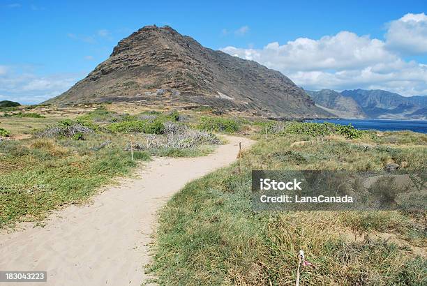 Kaena Punto Isola Di Oahu Hawaii - Fotografie stock e altre immagini di Albatro - Albatro, Alpinismo, Ambientazione esterna