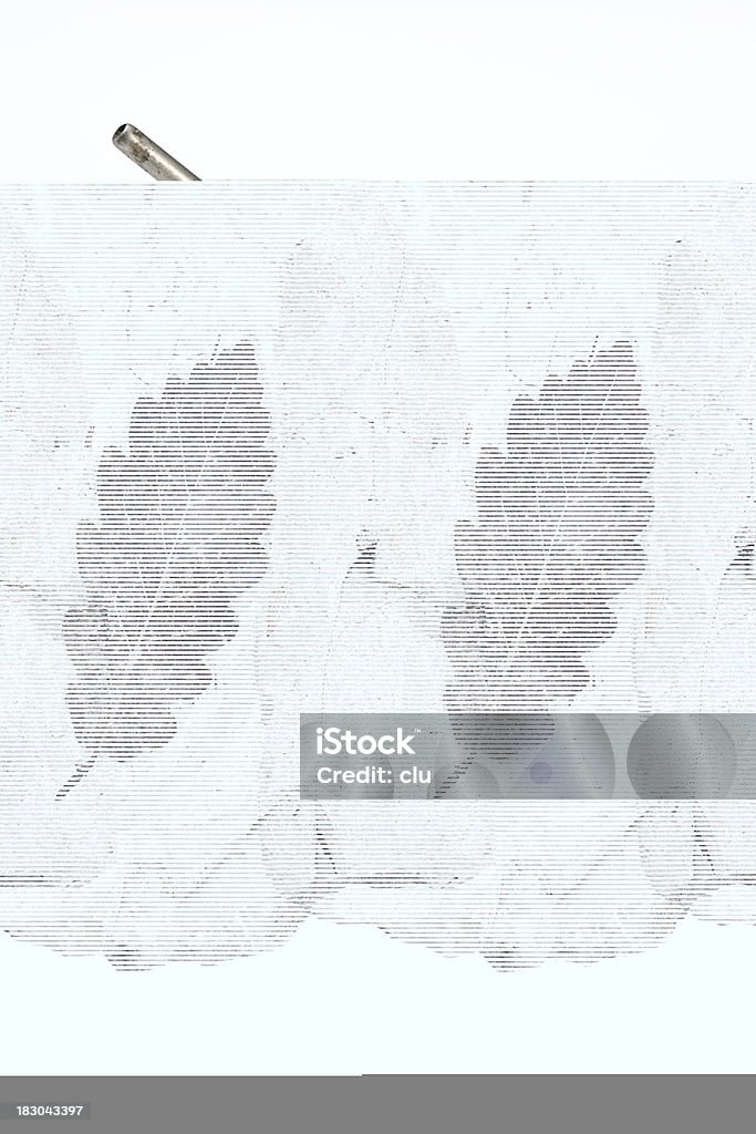 Petrification в виде листьев - Стоковые фото Изолированный предмет роялти-фри