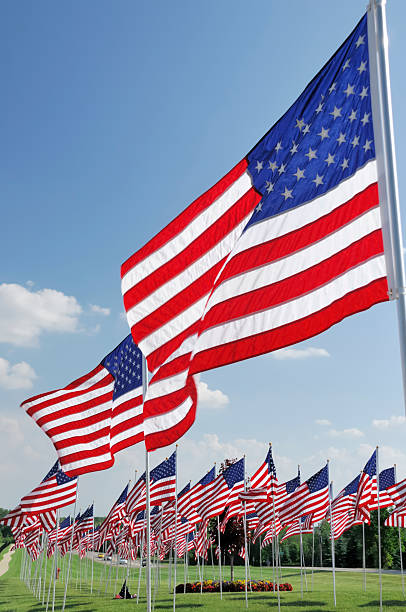 istock American Flags on Memorial Day  at a Cemetery 183043551