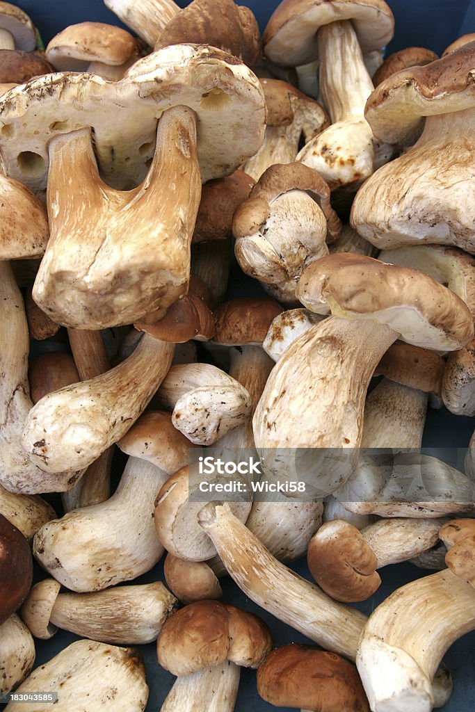 Steinpilzen - Lizenzfrei Bauernmarkt Stock-Foto