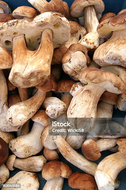 Funghi Porcini - Fotografie stock e altre immagini di Alimentazione sana - Alimentazione sana, Alimento di base, Ambientazione esterna