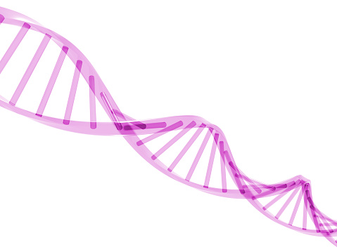 3D rendering of pink semi-transparent DNA stands isolated on white background.