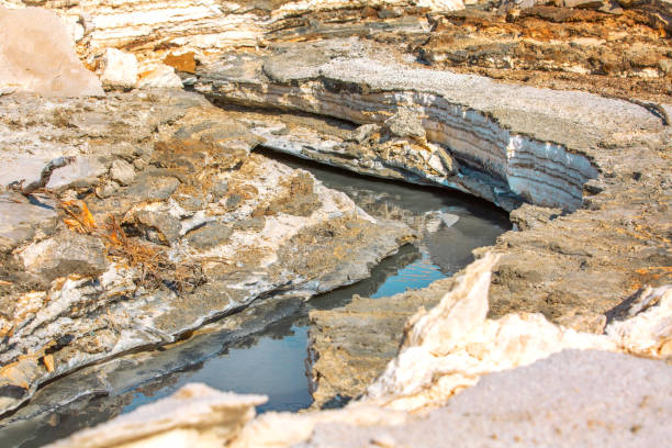 istock Dead Sea salt mineral formation layers, Jordan 1830446415
