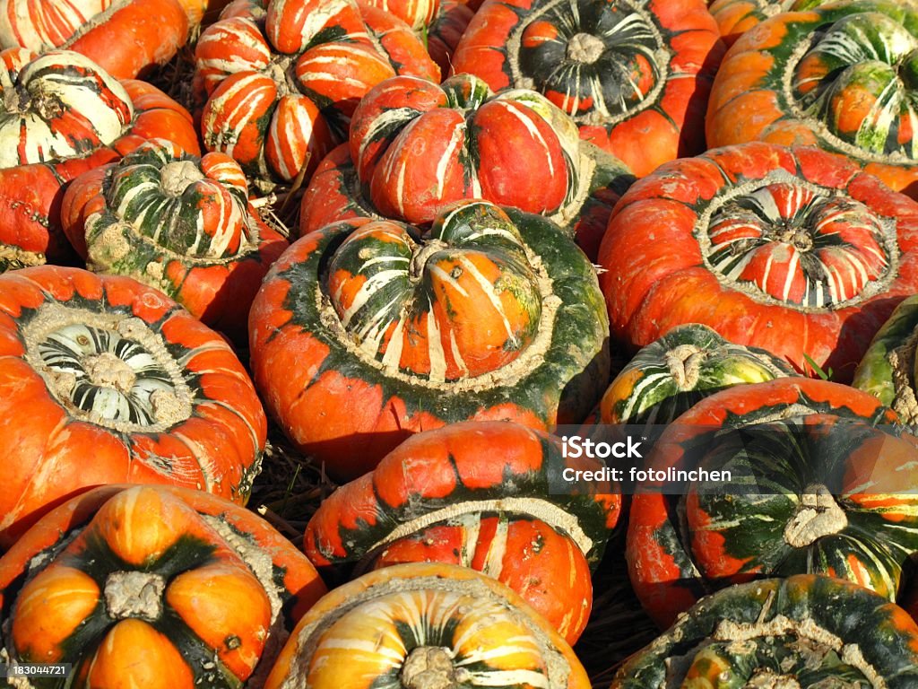 Kürbisse - Lizenzfrei Bunt - Farbton Stock-Foto