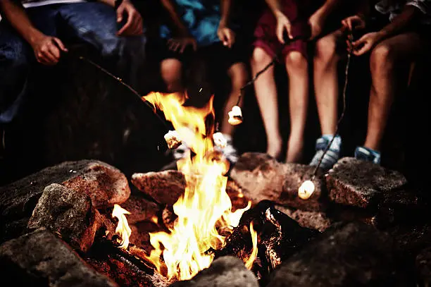 Children roasting marshmallows around the campfire.
