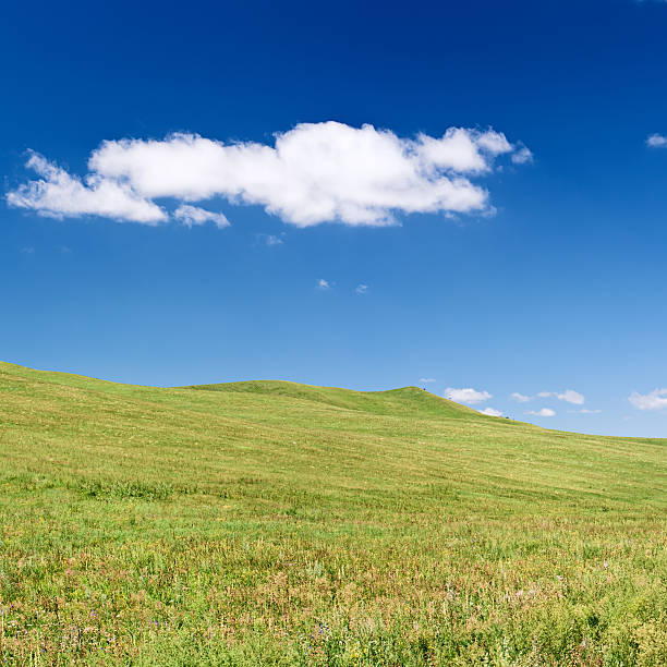 istock Square spring landscape XXXL - meadow, blue sky 183045333