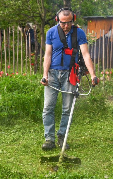 istock a farmer mows the tall green grass with a lawn mower-trimmer. 1830455002