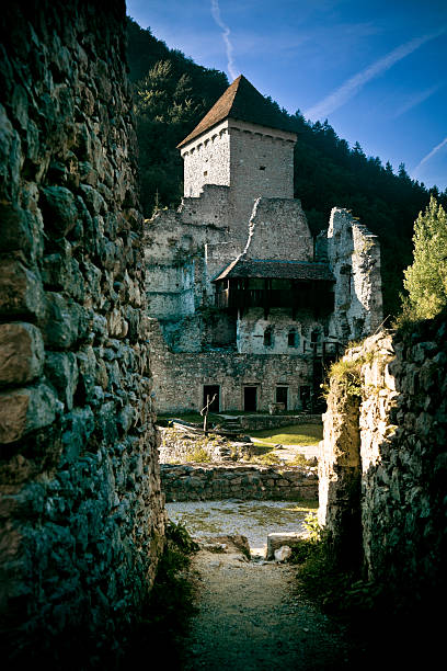 istock Old castle from Slovenia, Europe 183045654