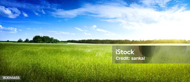 Wunderschöne Field Panoramablick Von Stockfoto und mehr Bilder von Sonne - Sonne, Himmel, Landschaft