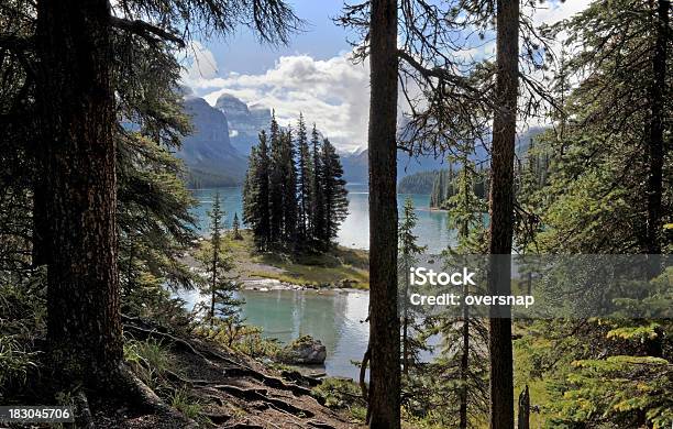 Paisajes Canadienses Foto de stock y más banco de imágenes de Abeto - Abeto, Aire libre, Alberta