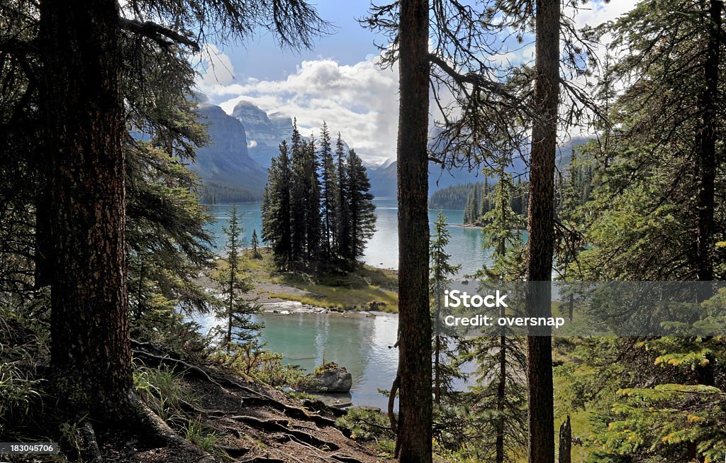 Kanadyjskie krajobrazy - Zbiór zdjęć royalty-free (Alberta)