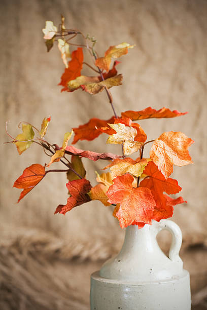 istock Autumn Still Life - Maple Leaves in Antique Stoneware Jug 183045788