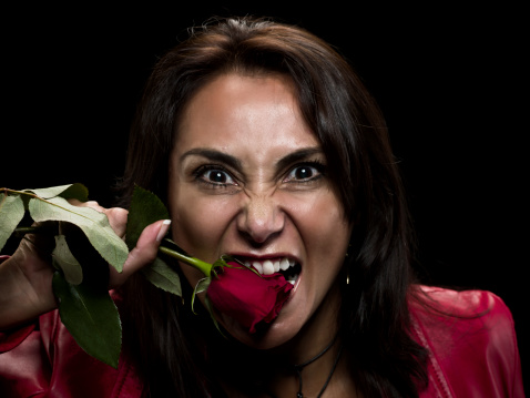 jealous hispanic woman biting a rose on black background (this picture has been taken with a Hasselblad H3D II 31 megapixels camera)