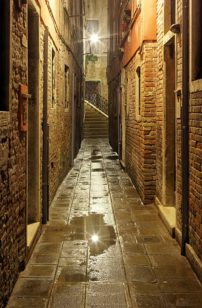 istock Narrow alley in Venice after rain 183046409