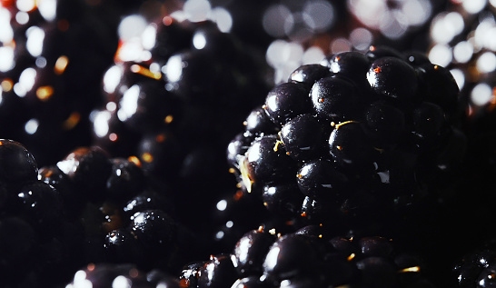 Lot of shiny fresh ripe blackberries.