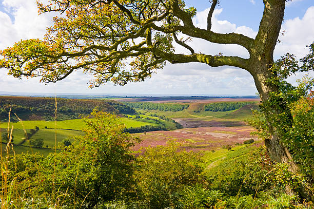 istock Hole of Horcum 183046622