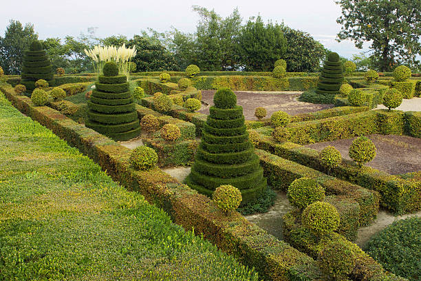 istock Garden of Guarene castle, geometric spaces 183046897