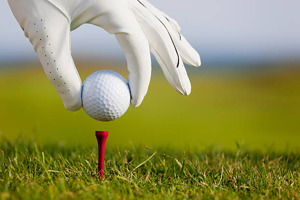 istock Golfer ready to tee off on the golf course 183047511