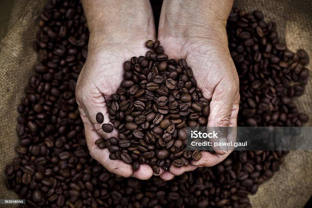 Mani a coppa con chicchi di caffè - Foto stock royalty-free di Caffè - Raccolto