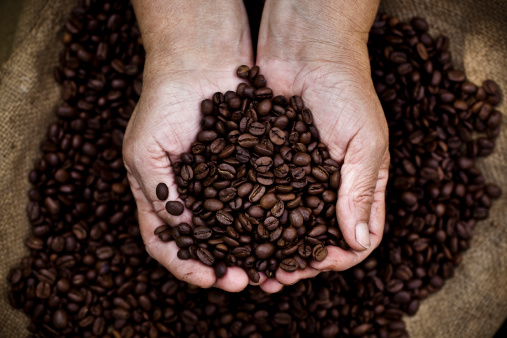 Cupped hands holding coffee beans