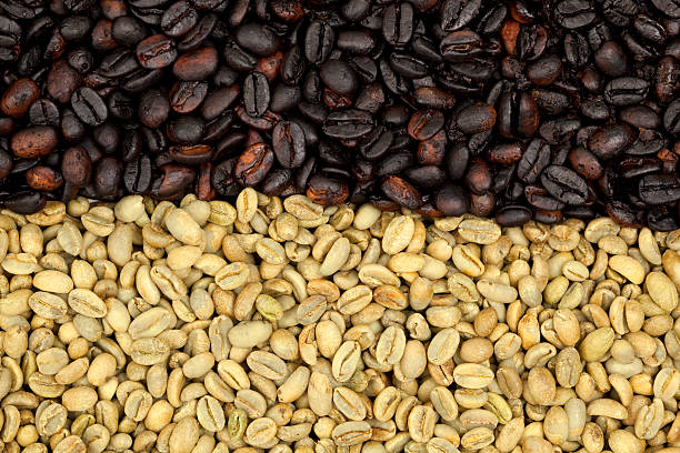 istock Pattern line of green and black coffee grains. 183048100