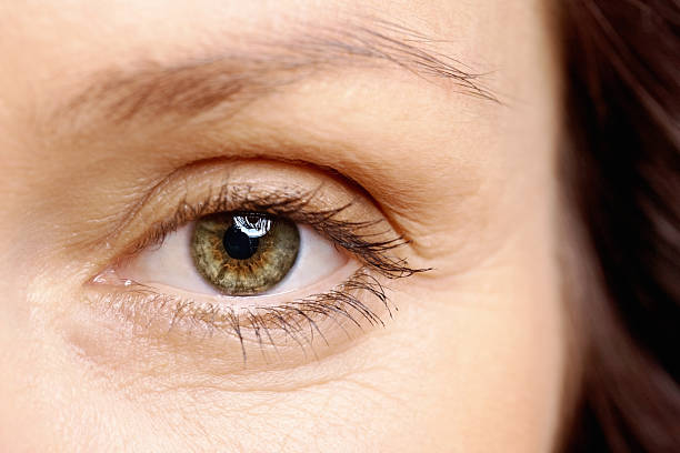 macro view of a brown ojo mirando a usted - sensory perception eyeball human eye eyesight fotografías e imágenes de stock