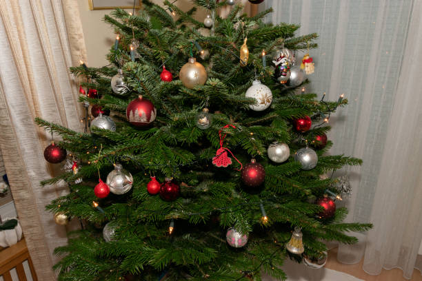 istock Ornaments on a christmas tree in Liechtenstein 1830489783