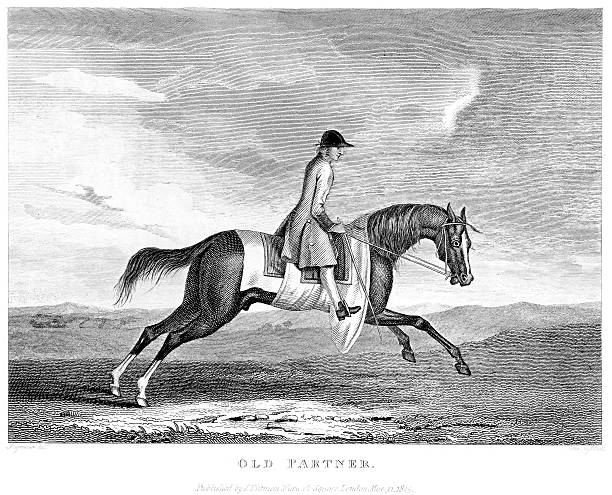 illustrazioni stock, clip art, cartoni animati e icone di tendenza di il purosangue cavallo da corsa sherwood - riding old old fashioned motion