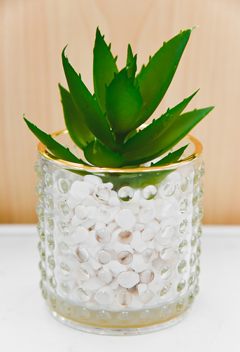 Suculent flower in a glass pot on a shelf indoor
