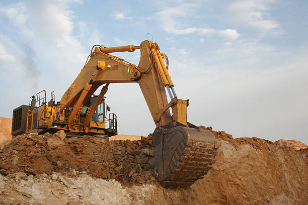 digger - gold digger imagens e fotografias de stock