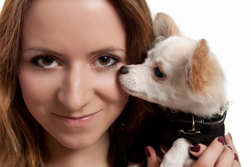 Image of an attractive young woman holding a chihuahua