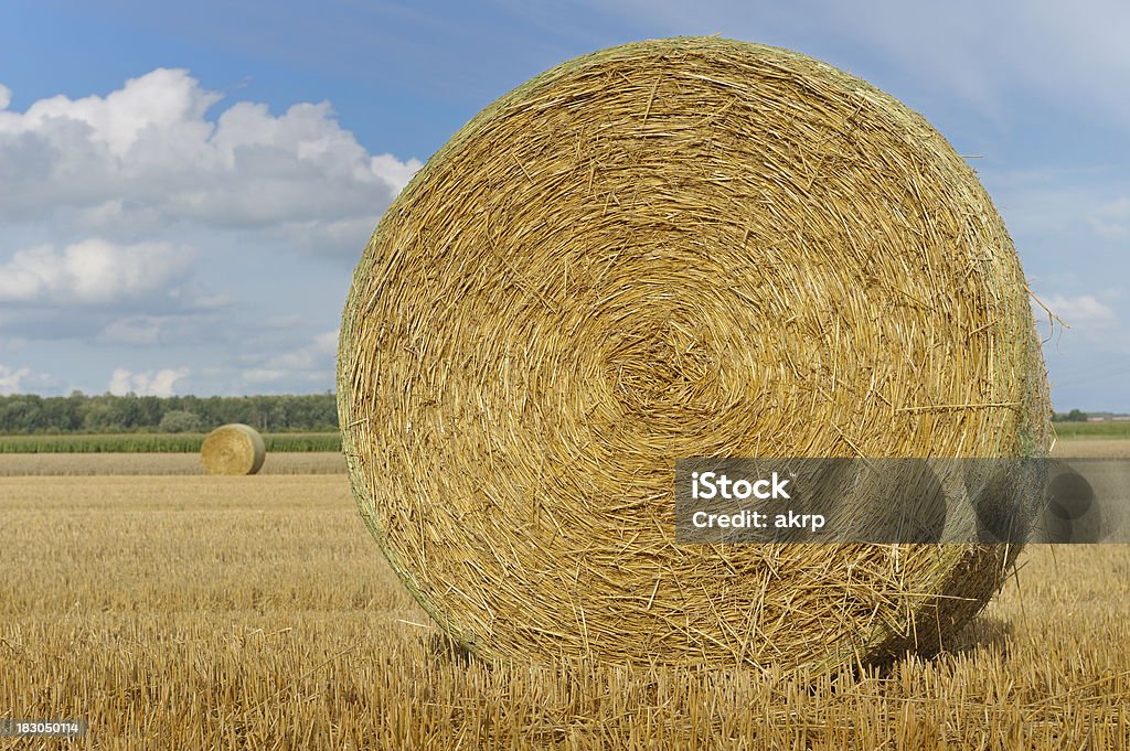 Golden Straw Bales - Foto de stock de Agricultura libre de derechos