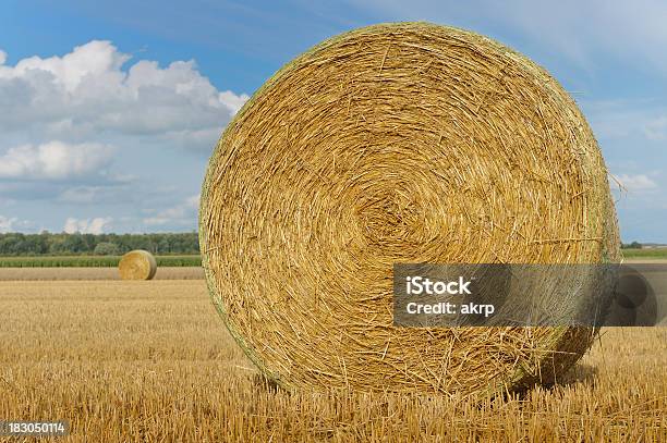Golden Straw Bales Foto de stock y más banco de imágenes de Agricultura - Agricultura, Aire libre, Ajardinado