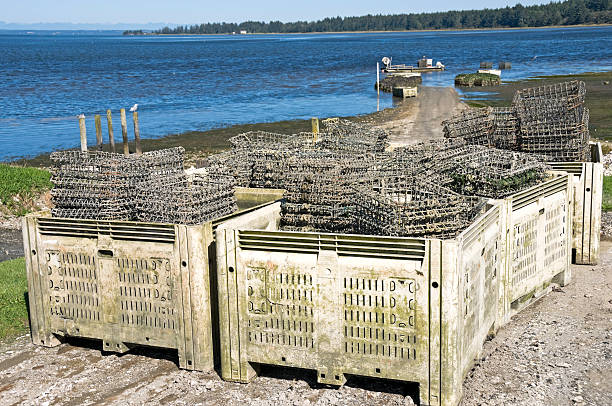 istock Oyster farm in Washington state 183050257