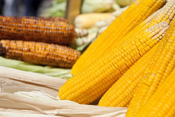 pieczona kukurydza - corn on the cobb zdjęcia i obrazy z banku zdjęć
