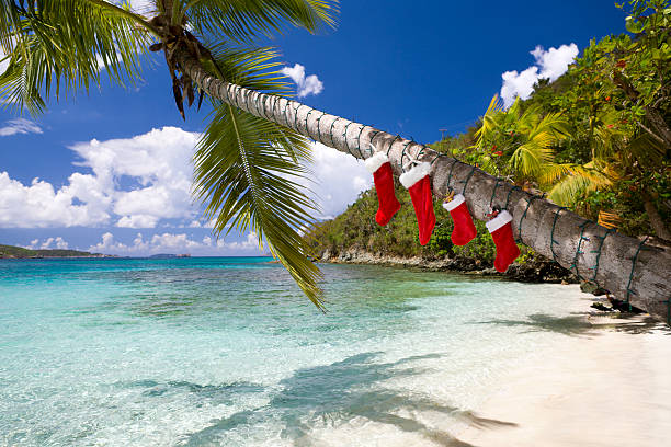 decorazioni di natale su un albero di palme sulla spiaggia dei caraibi - christmas palm tree island christmas lights foto e immagini stock