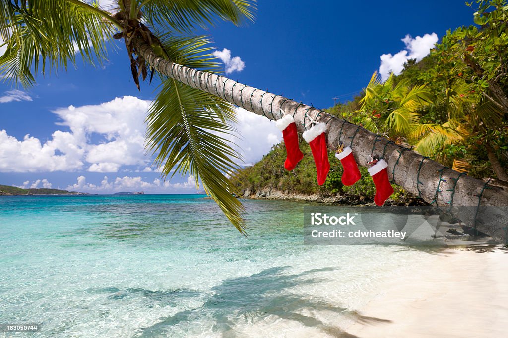 Decorações de natal em uma palmeira na praia das Caraíbas - Royalty-free Natal Foto de stock