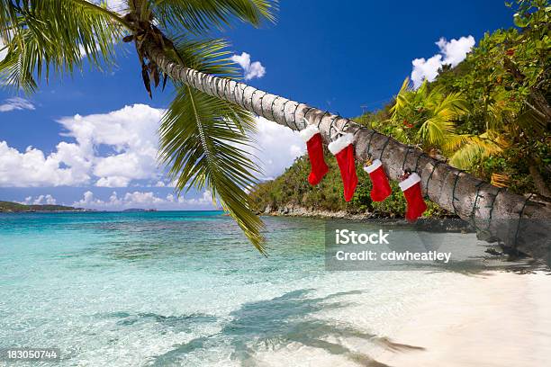 Decorações De Natal Em Uma Palmeira Na Praia Das Caraíbas - Fotografias de stock e mais imagens de Natal