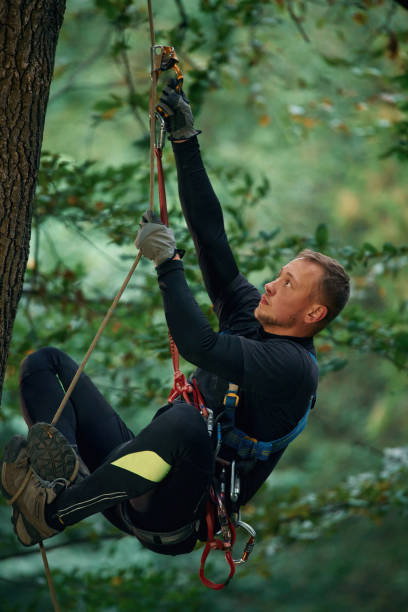 istock Side view, using the rope, hanging. Man is doing climbing in the forest by use of safety equipment 1830507858