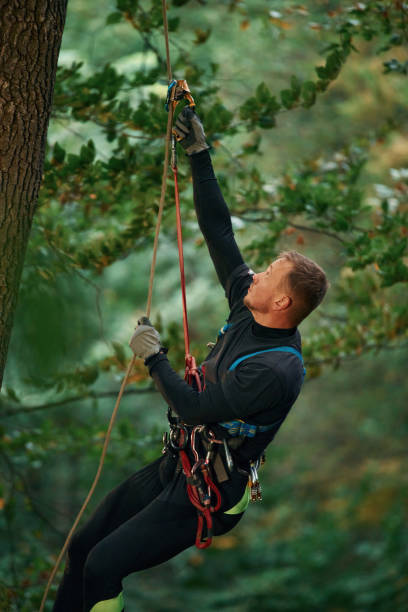 istock Side view, using the rope, hanging. Man is doing climbing in the forest by use of safety equipment 1830507866