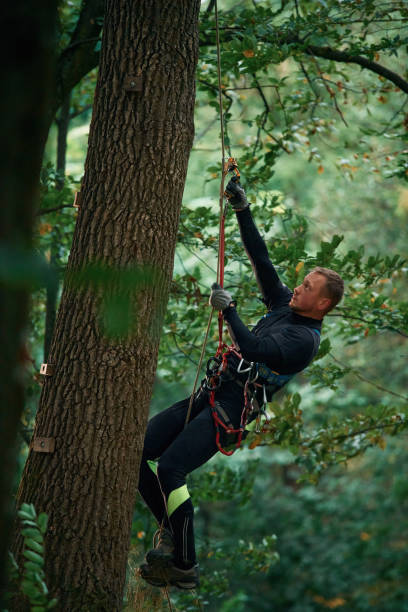 istock Side view, using the rope, hanging. Man is doing climbing in the forest by use of safety equipment 1830507870